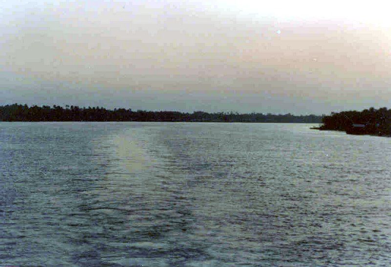 Amazon River Sea