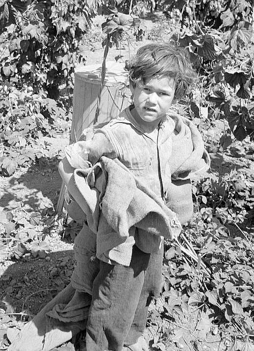 Children work in the hops in Oregon often all day and every day during the picking season. Oregon, Polk County, Independence.  Photo: Dorothea Lange