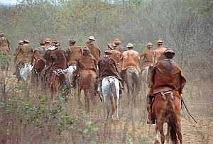 Vaqueiros, cowboys of Brazil [16]