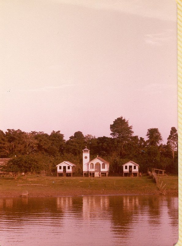 Amazon River Bank Brazil Uys