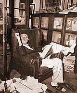 Gilberto Freyre, Brazilian professor