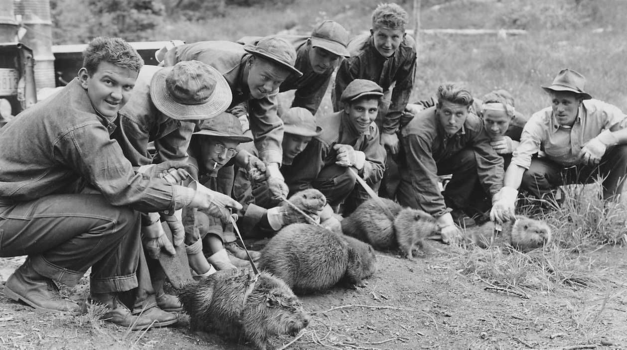 Civilian Conservation Corps in Idaho, Salmon National Forest, Camp F-167, 