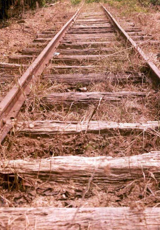 In search of the Madeira-Mamoré railroad