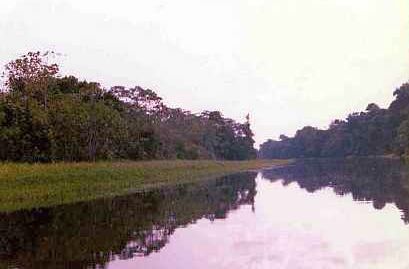 By canoe into the Amazon rain forest