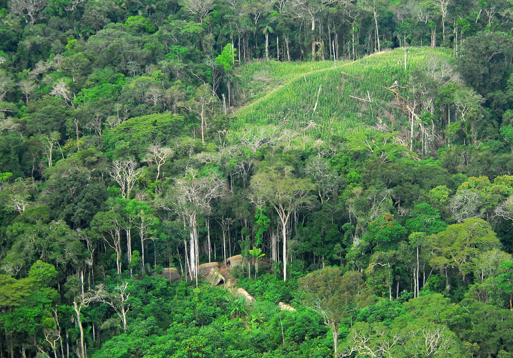 Indian village in depths of Brazilian Amazon rainforest | Acre