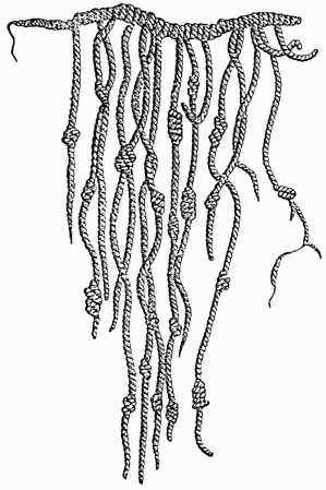 Inca quipu