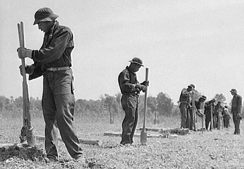 CCC (Civilian Conservation Corps) boys putting up a fence. Greene County, Georgia Photo: Jack Delano  