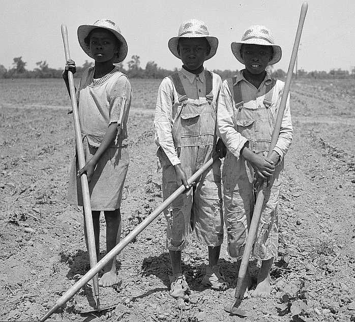 Children chopping cotton. Near Marked Tree, Arkansas. (Ages, left to right: ten years, thirteen years, eight years)  Photo: Carl Mydans