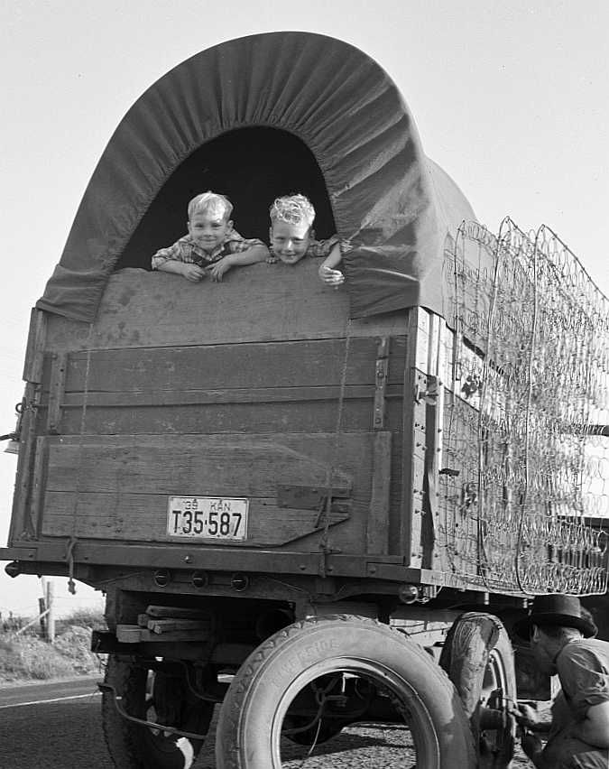 Just arrived from Kansas. On highway going to potato harvest. Near Merrill, Klamath County, Oregon  Photo: Dorothea Lange