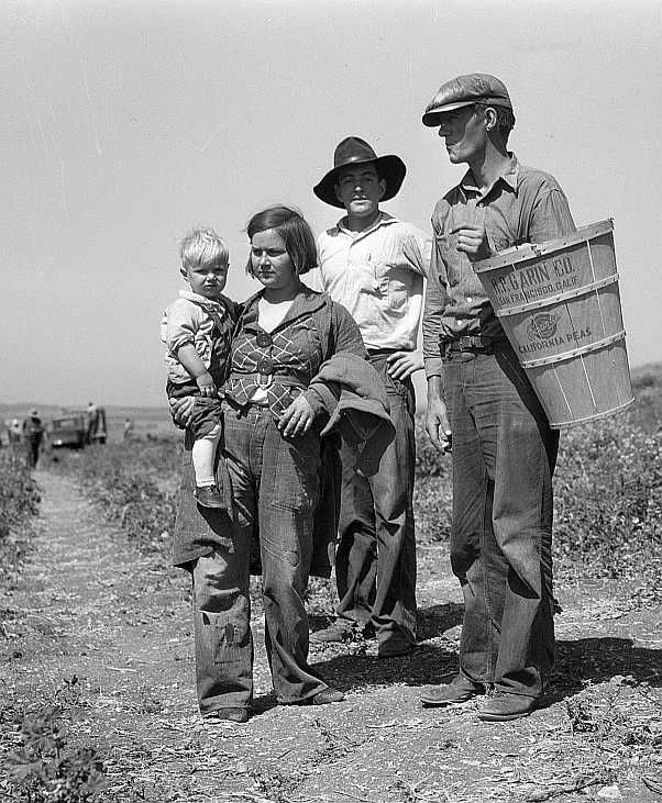 Drought refugees from Oklahoma at work in the pea fields near Nipomo, California