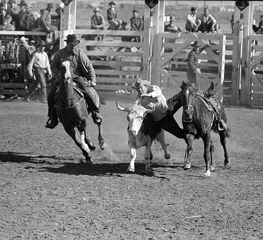 San Angelo Fat Stock Show, San Angelo, Texas Photo: Russell Lee