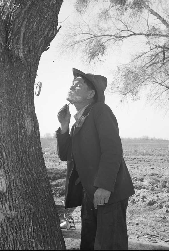 On U.S. 99 between Bakersfield and the Ridge, en route to San Diego. Migrant man shaving by roadside.  Photo: Dorothea Lange