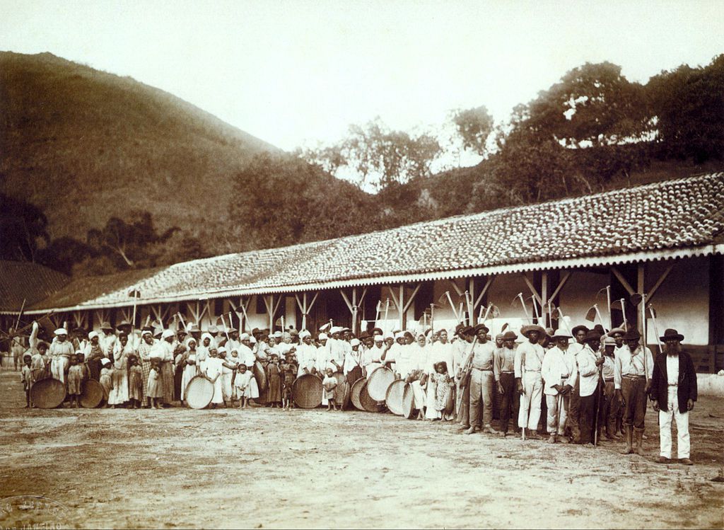Slaves in a coffe farm in Brazil, c.1885. Marc Ferrez (1943-1923)