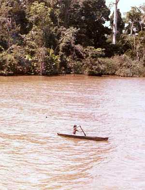Canoe, Brazil rain forest [10]