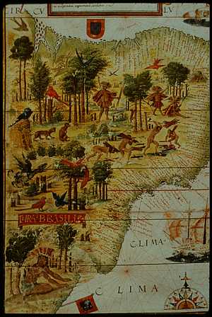 Brazil Map, 1519, Lope Homem  [1]