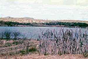 Canudos, Cocorobo Barrage, 1980 [1]