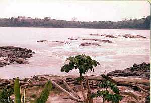 Madeira-Mamore rapids near Porto Velho [4]