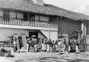 Coffee Fazenda, drying terrace [12]