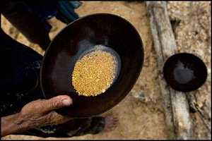 Panning for Gold [38]